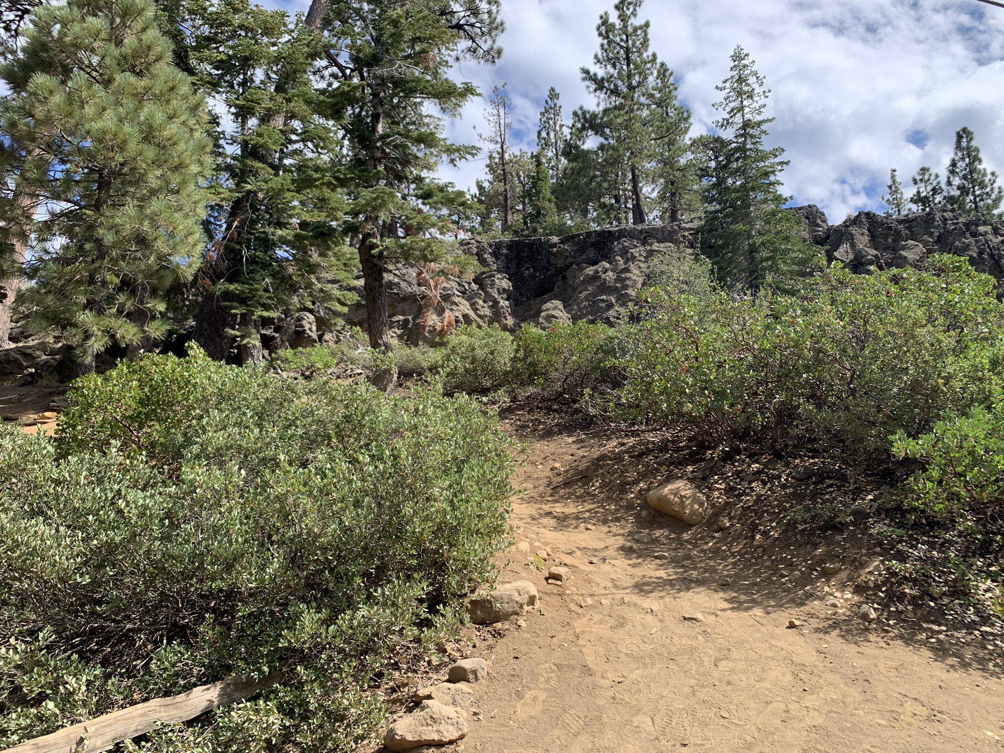 A dirt path winds through green bushes and rocky terrain under a cloudy sky. - Eagle Rock Trail