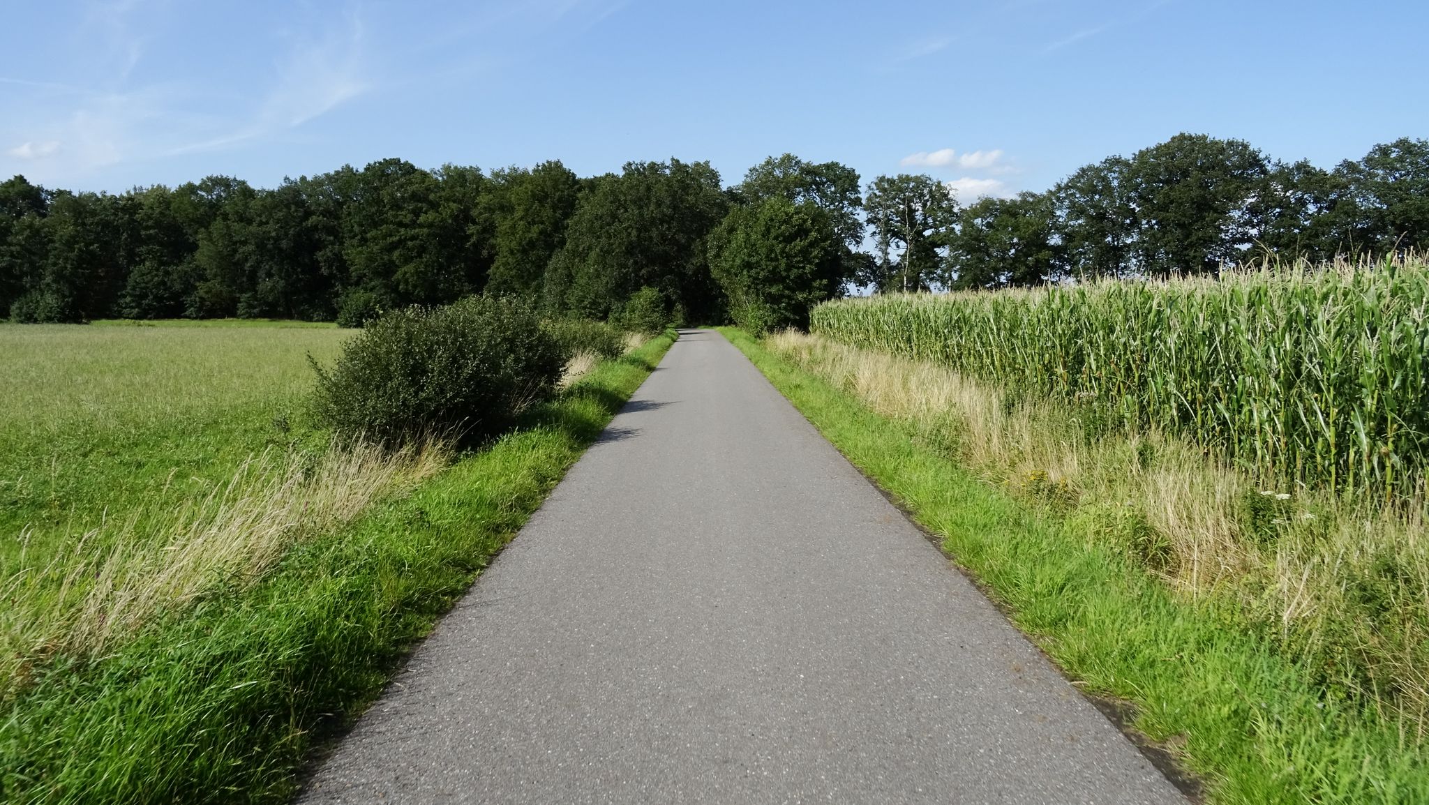 Fahrenhorster Weg