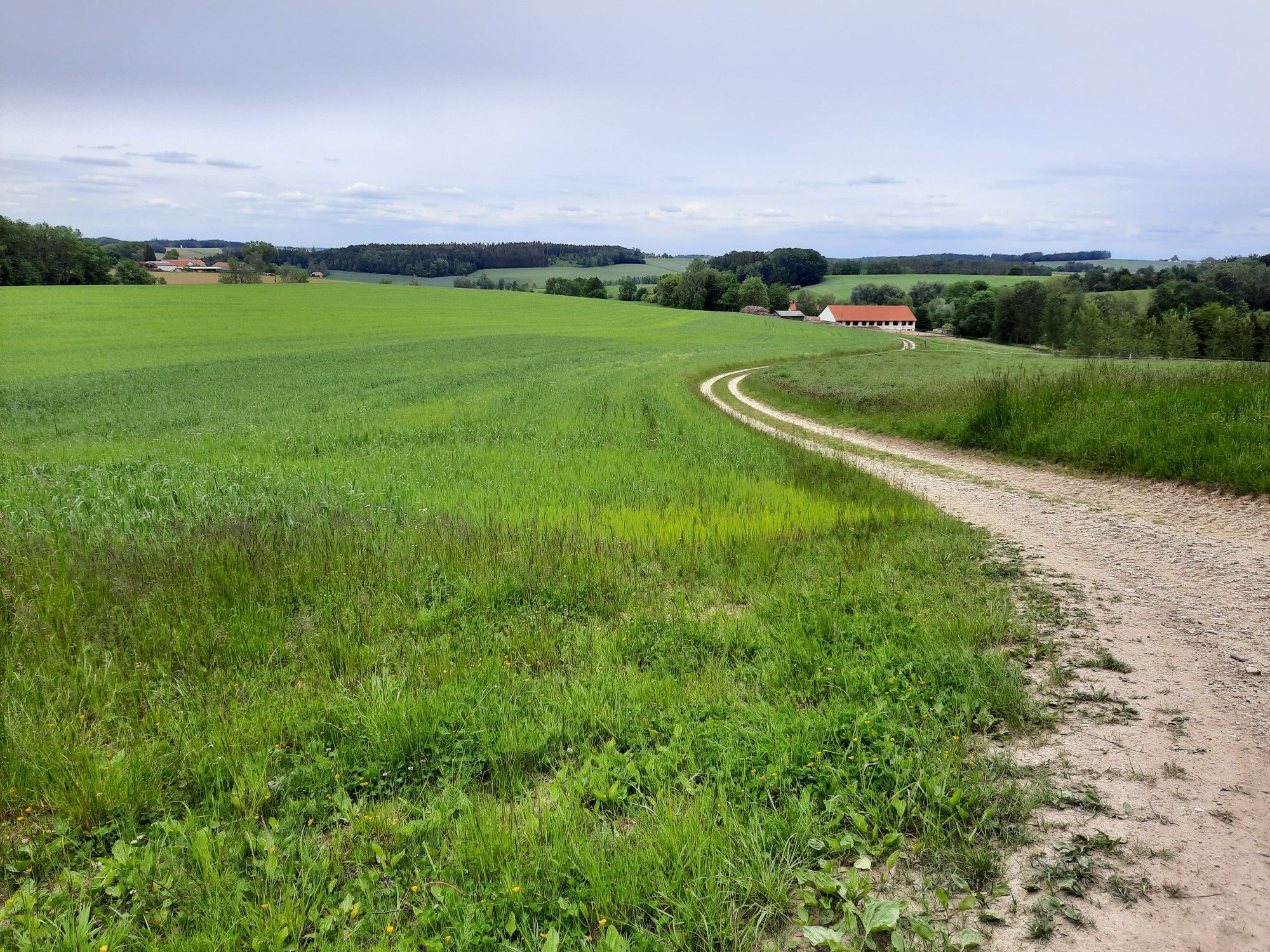 steinzell