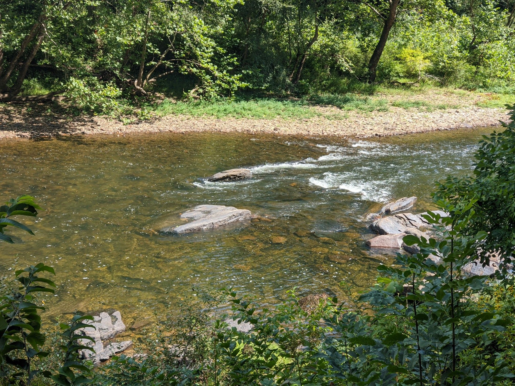Clear river flowing over rocks through a lush green forest on a sunny day. - Seebert – Mill Run Campground loop from Seebert