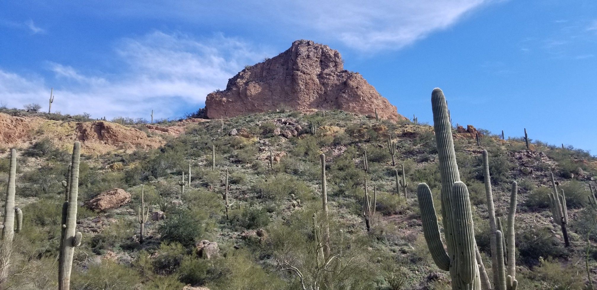 Large rock formation on a desert hillside with saguaro cacti under blue sky. - Pass Mountain Trail Loop