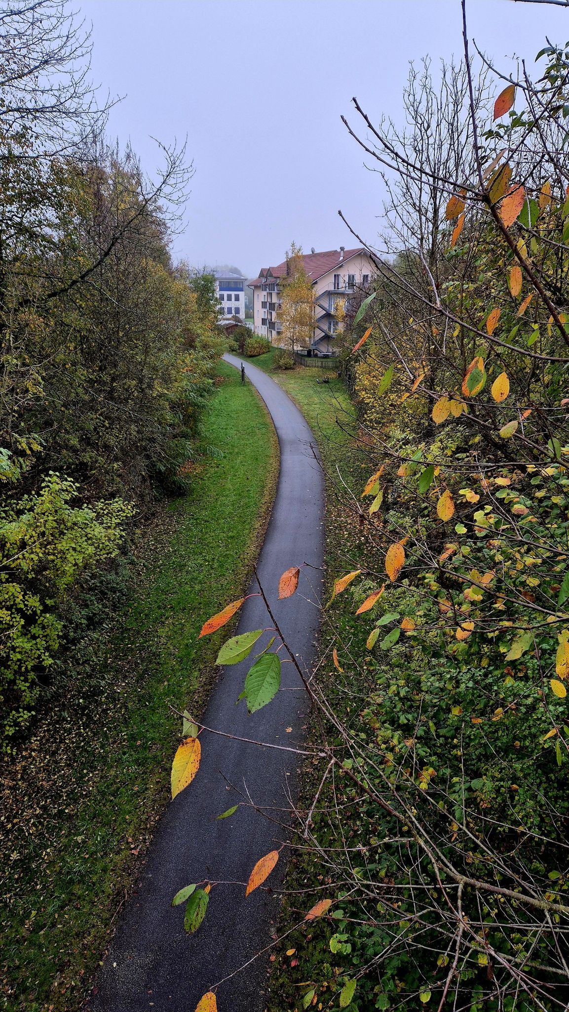 Donau-Ilz-Radweg bei Eging