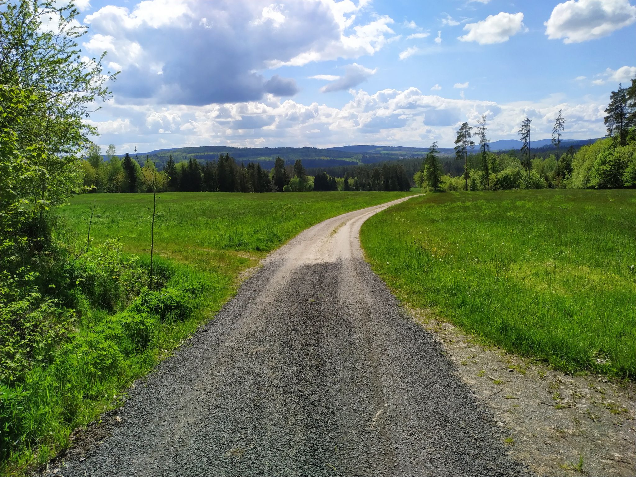 Der Wald öffnet sich und gibt herrliche Blicke auf Teichelberg und Kösseine frei