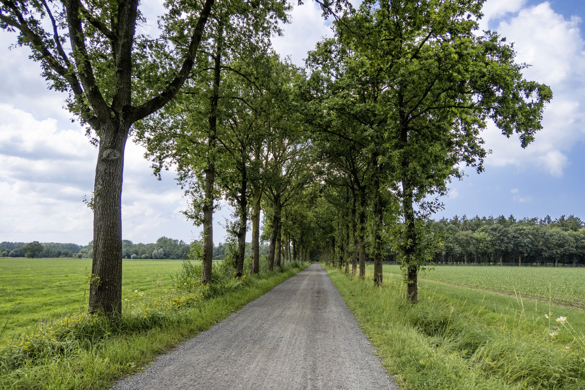 Over gravel langs natuurgebied De Linie