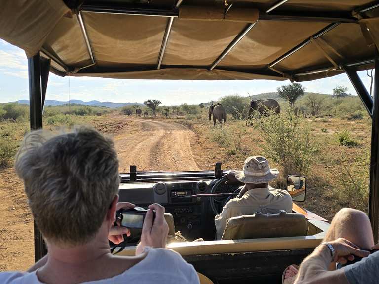 Safari Südafrika | Tour | Komoot