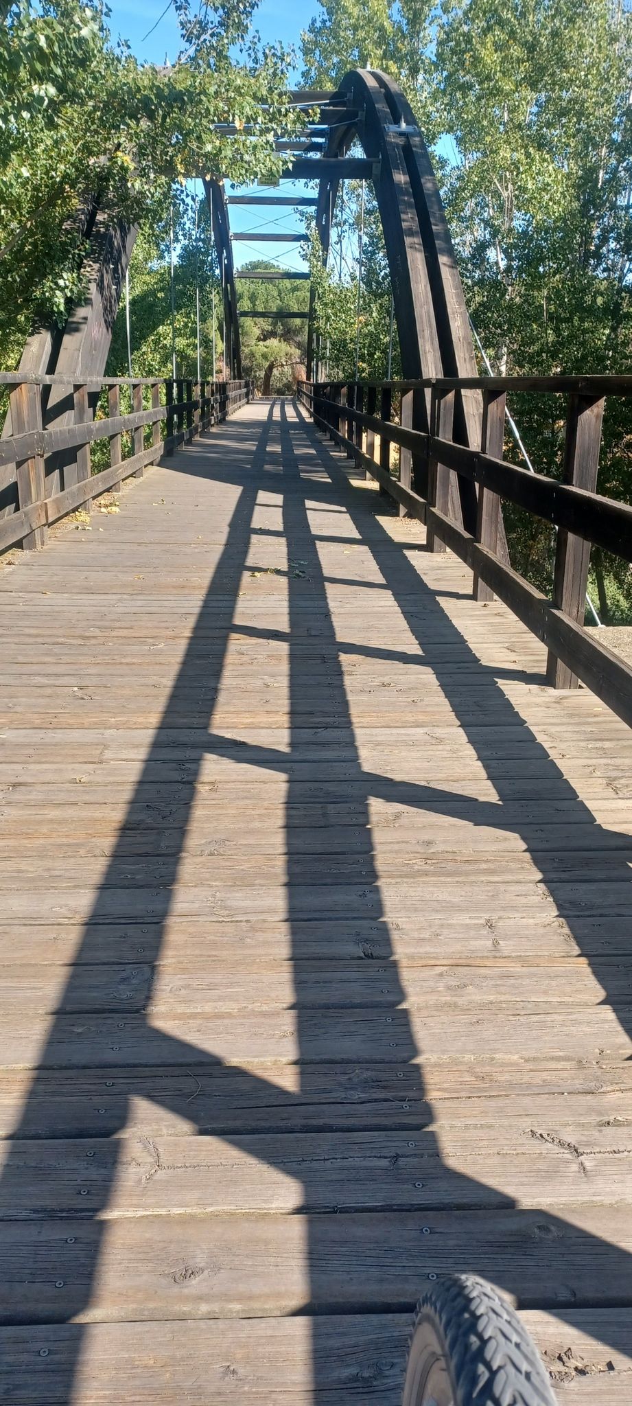puente viana