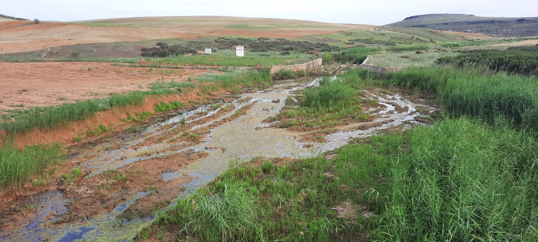 Cruce Río Jabalon