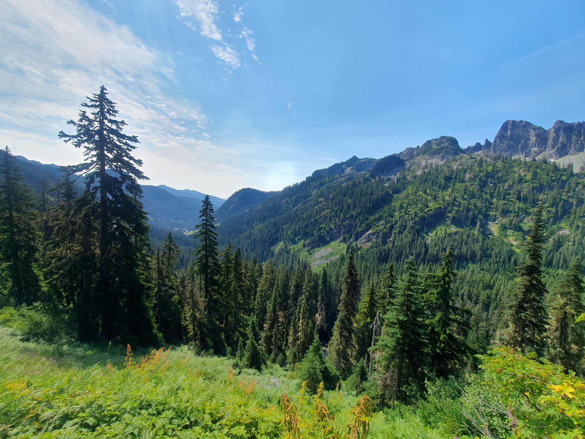 A vast green mountain valley filled with dense evergreen trees under a bright blue sky. - Snow Lake Lookout loop from Lower Lot