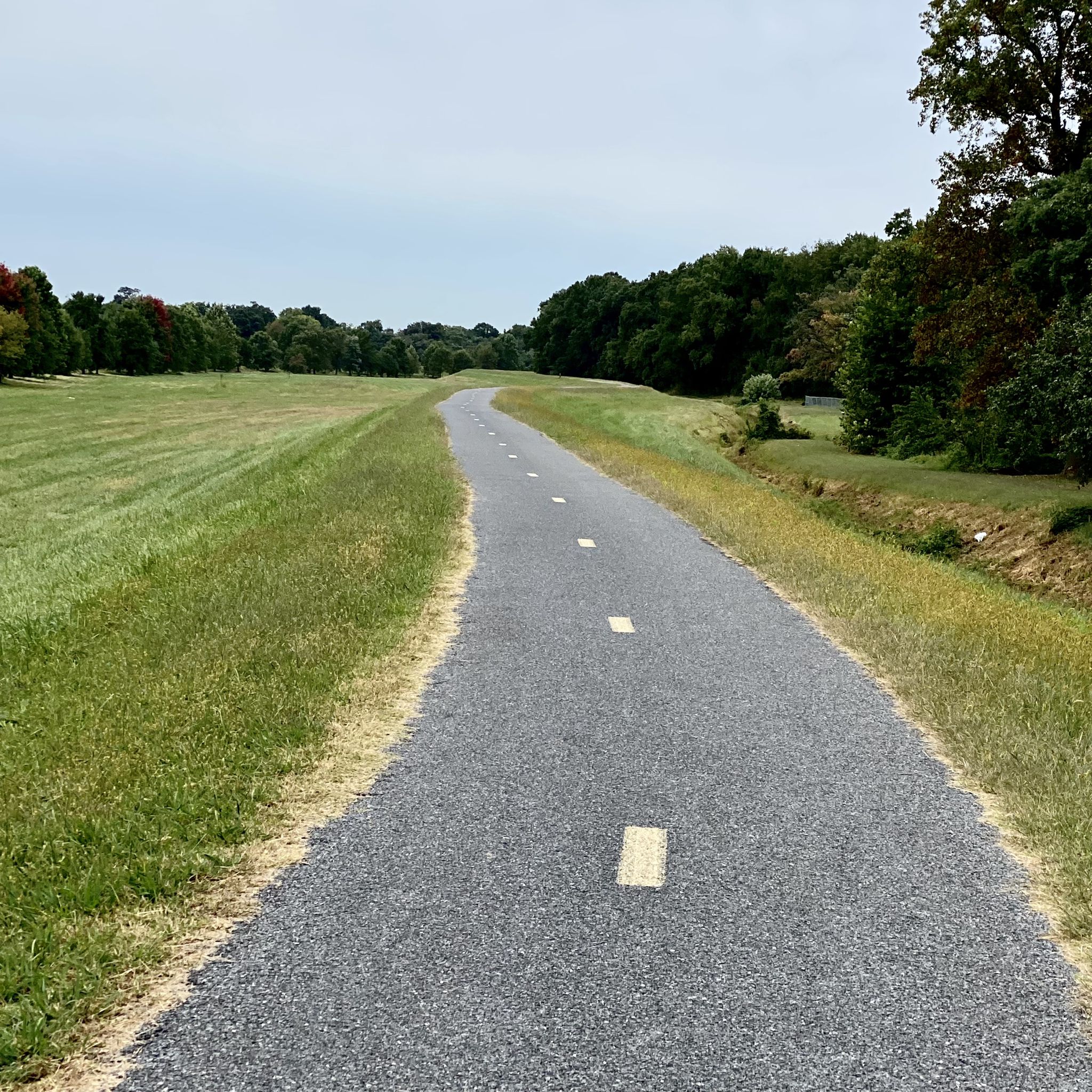 Paved path with white markings curving through wide green grassy fields. - Northeast Branch Trail