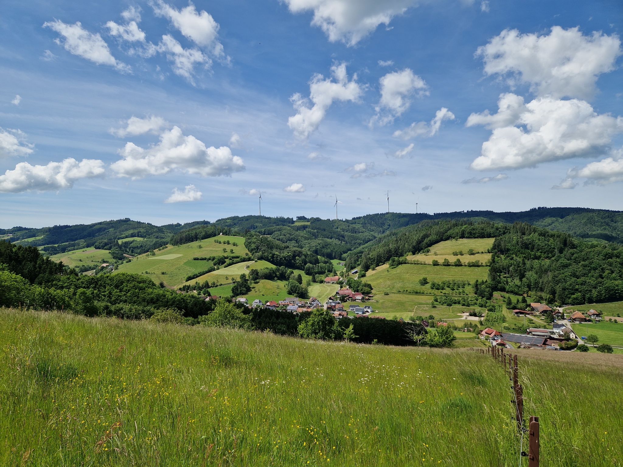 Blick auf Welschensteinach 