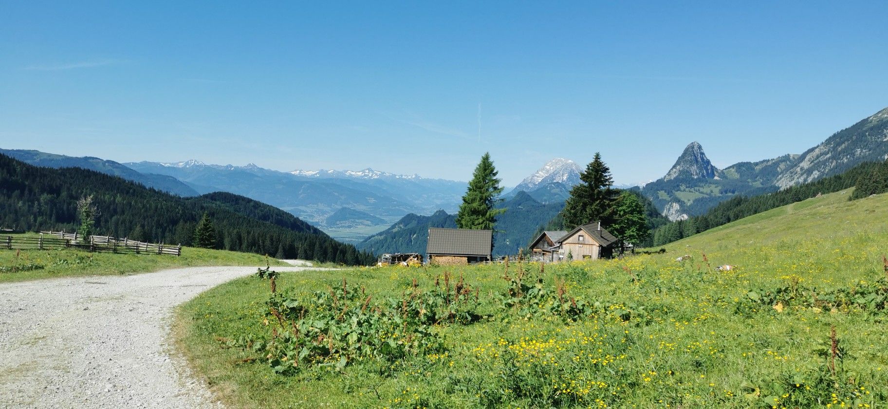 Hinteregger-Alm