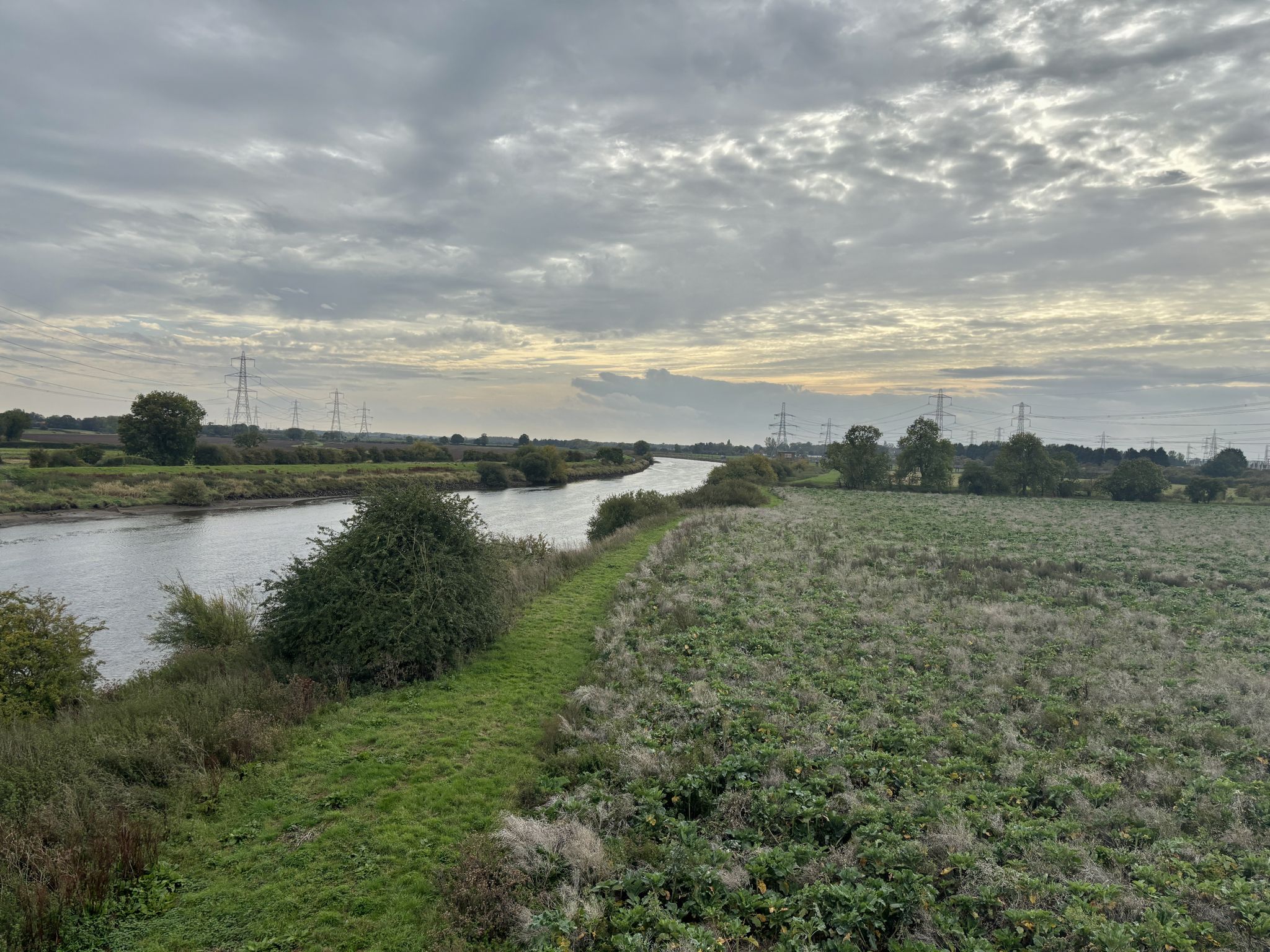 View of River Trent from Fledborough Viaduct