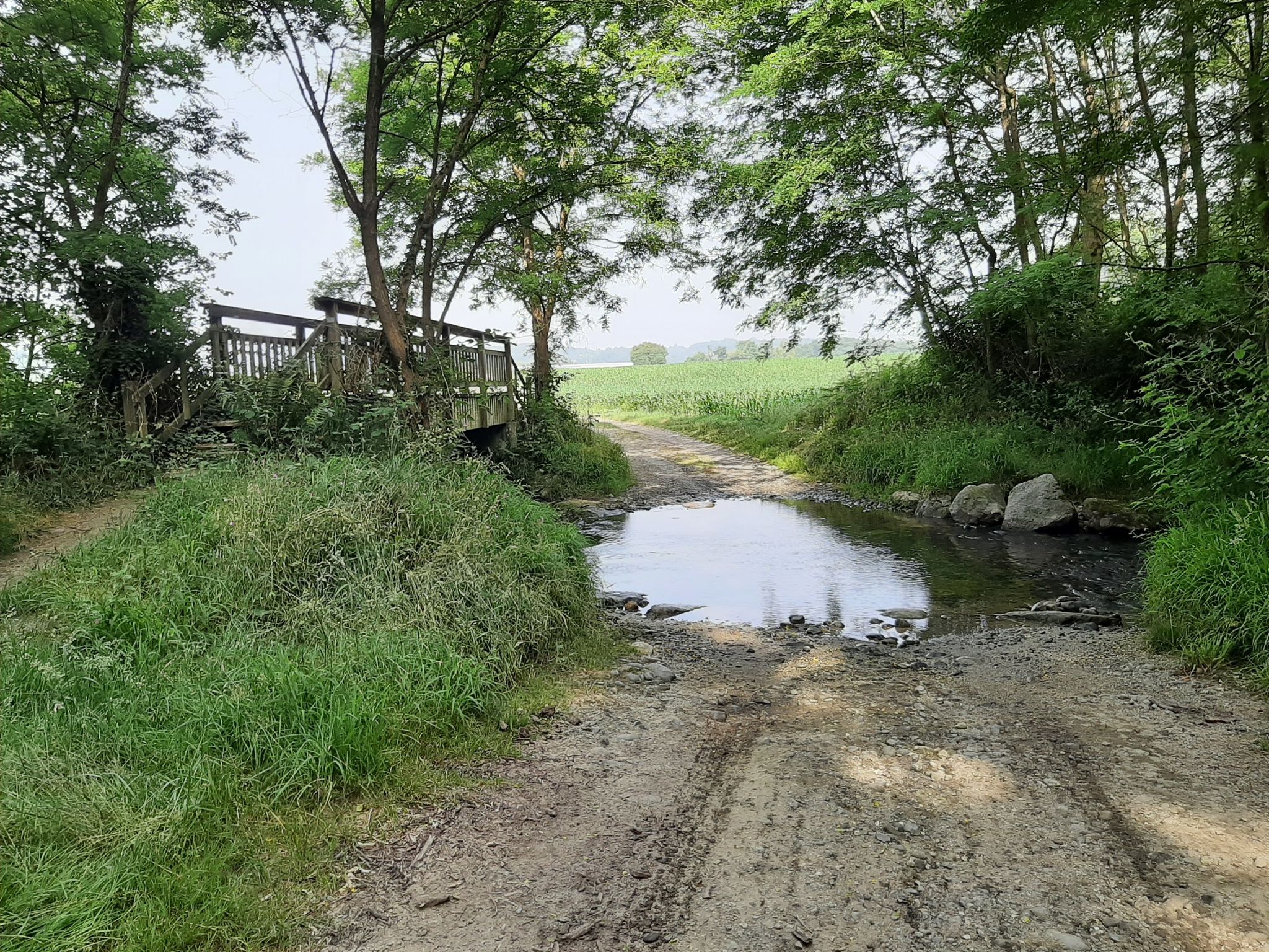 Baignade du vélo jusqu'au pédalier. Wow! Elle est Fraîche