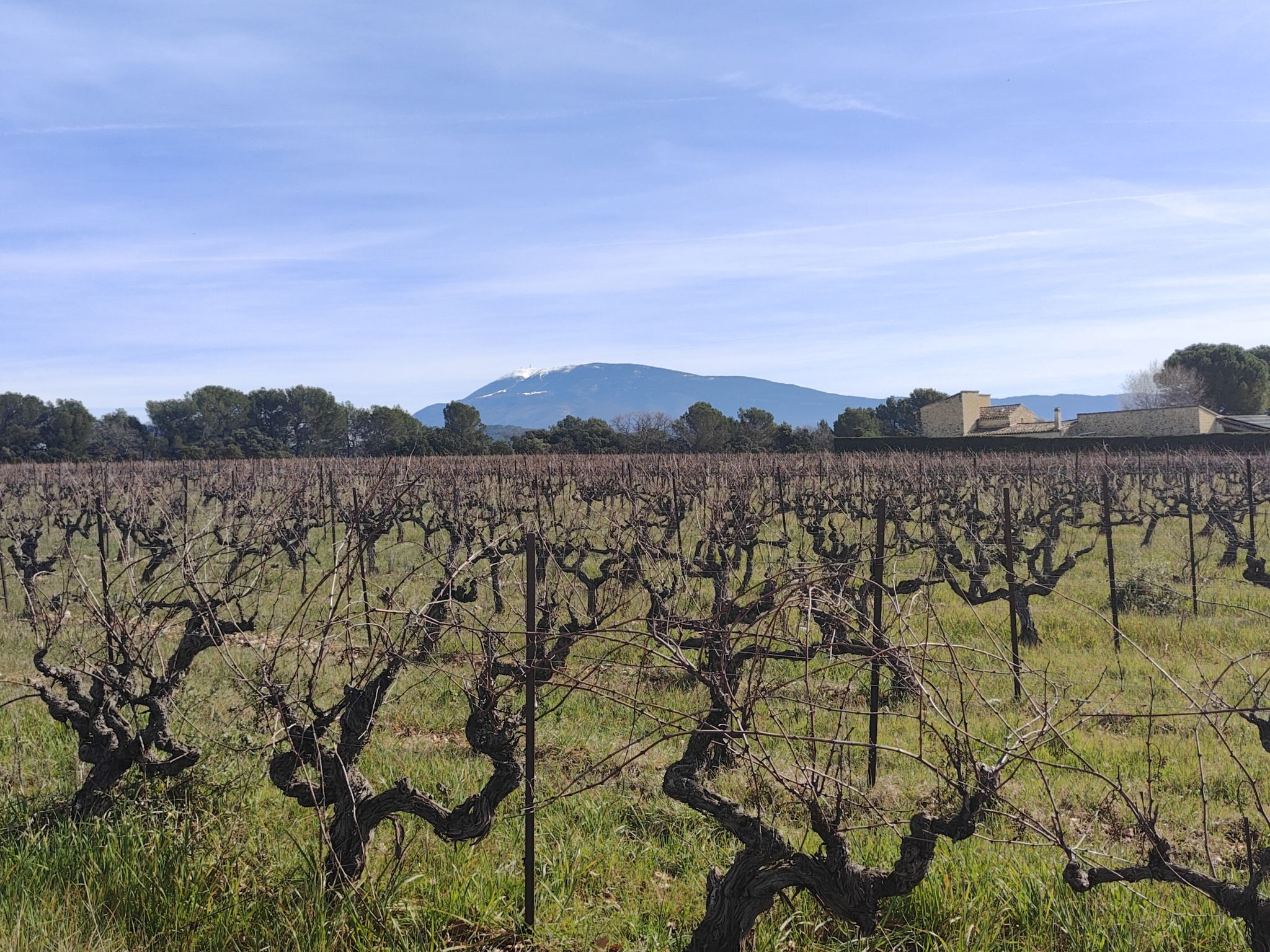 Besneeuwde top van Mont Ventoux