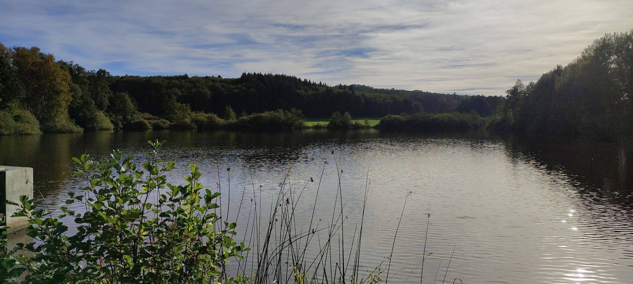 Buchhölzer Teich