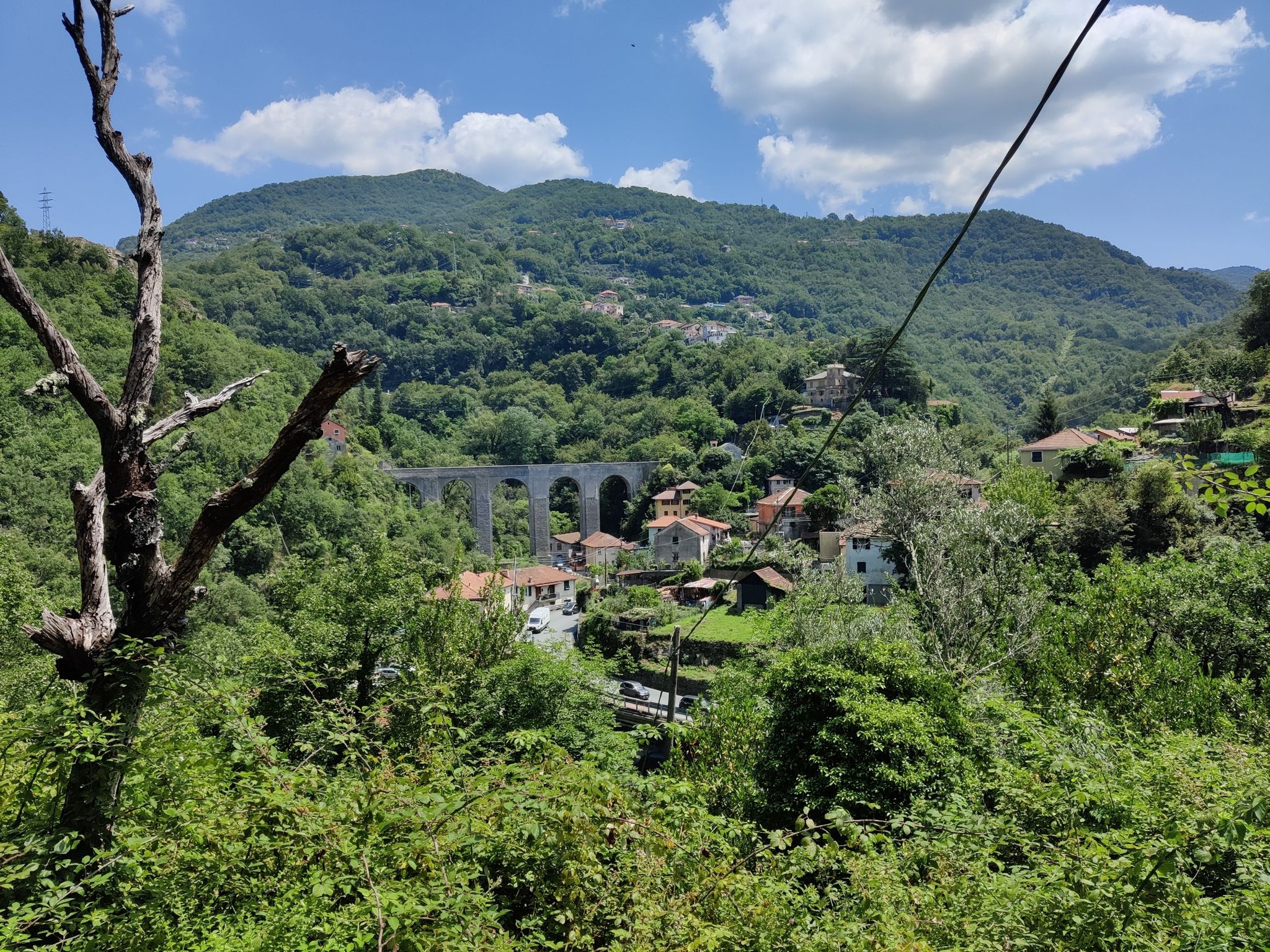 Cavassolo