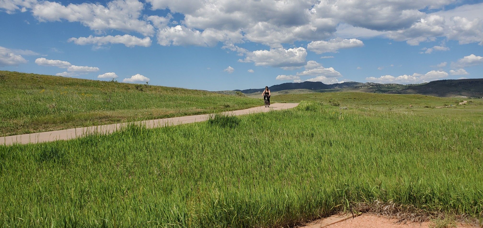 Person cycling on a paved path through sunny green fields under a cloudy sky. - Loveland Recreation Trail Loop