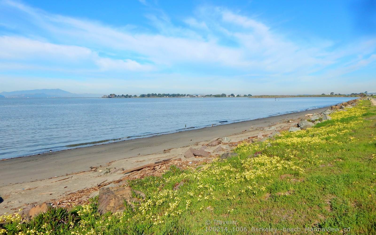 Sandy beach with yellow flowers and calm water under a bright blue sky. - West Street Bikeway – Emeryville Bayfront Bridge loop from North Berkeley