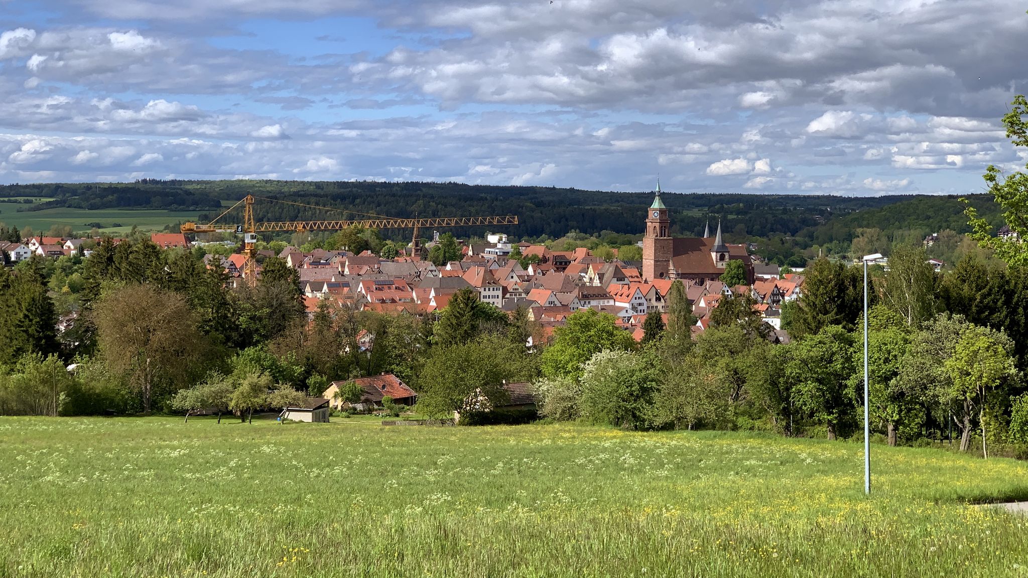 Blick auf Weil der Stadt