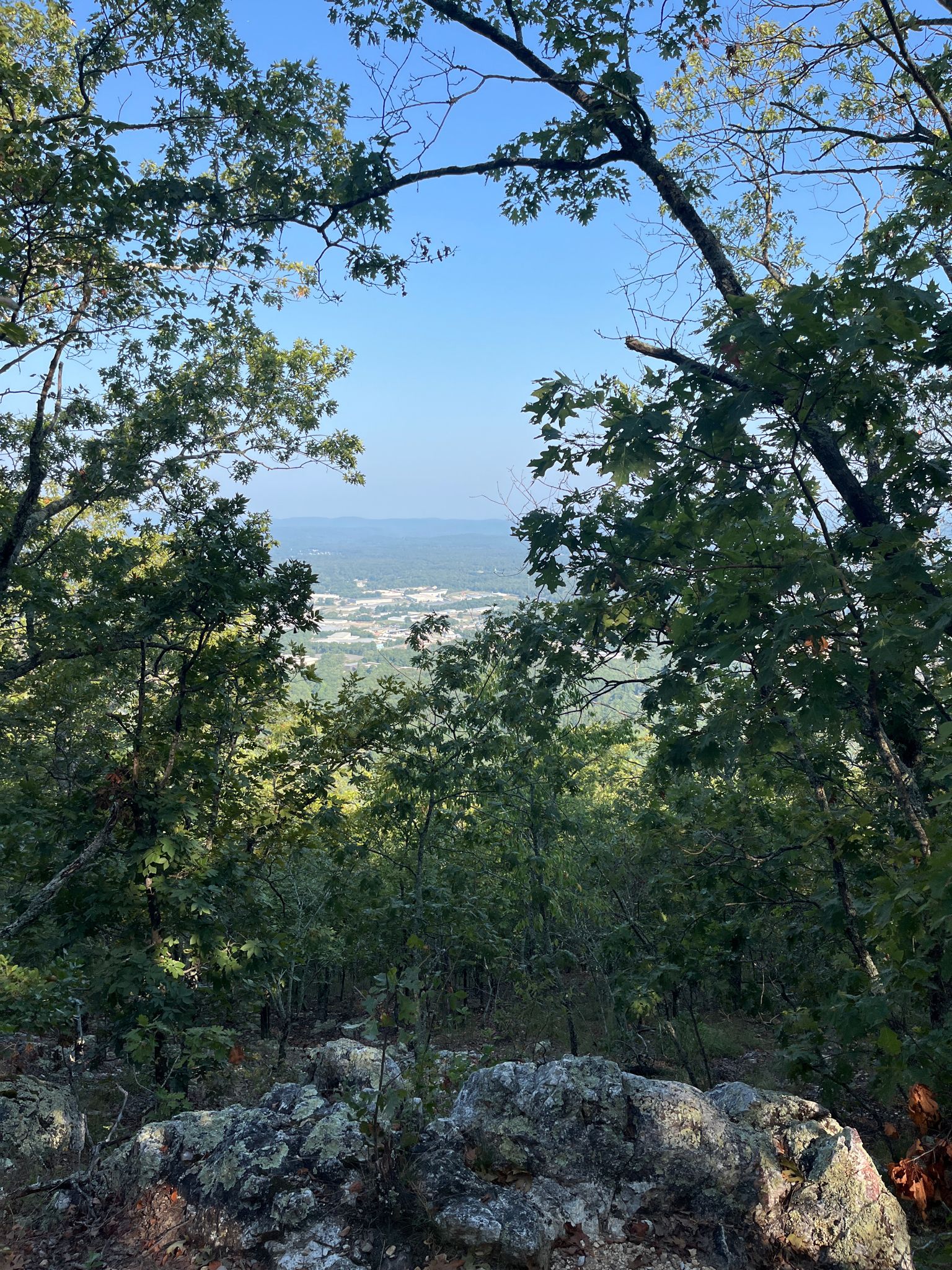 Distant town visible through green trees from a rocky overlook on a sunny day. - West Mountain via Sunset Trail