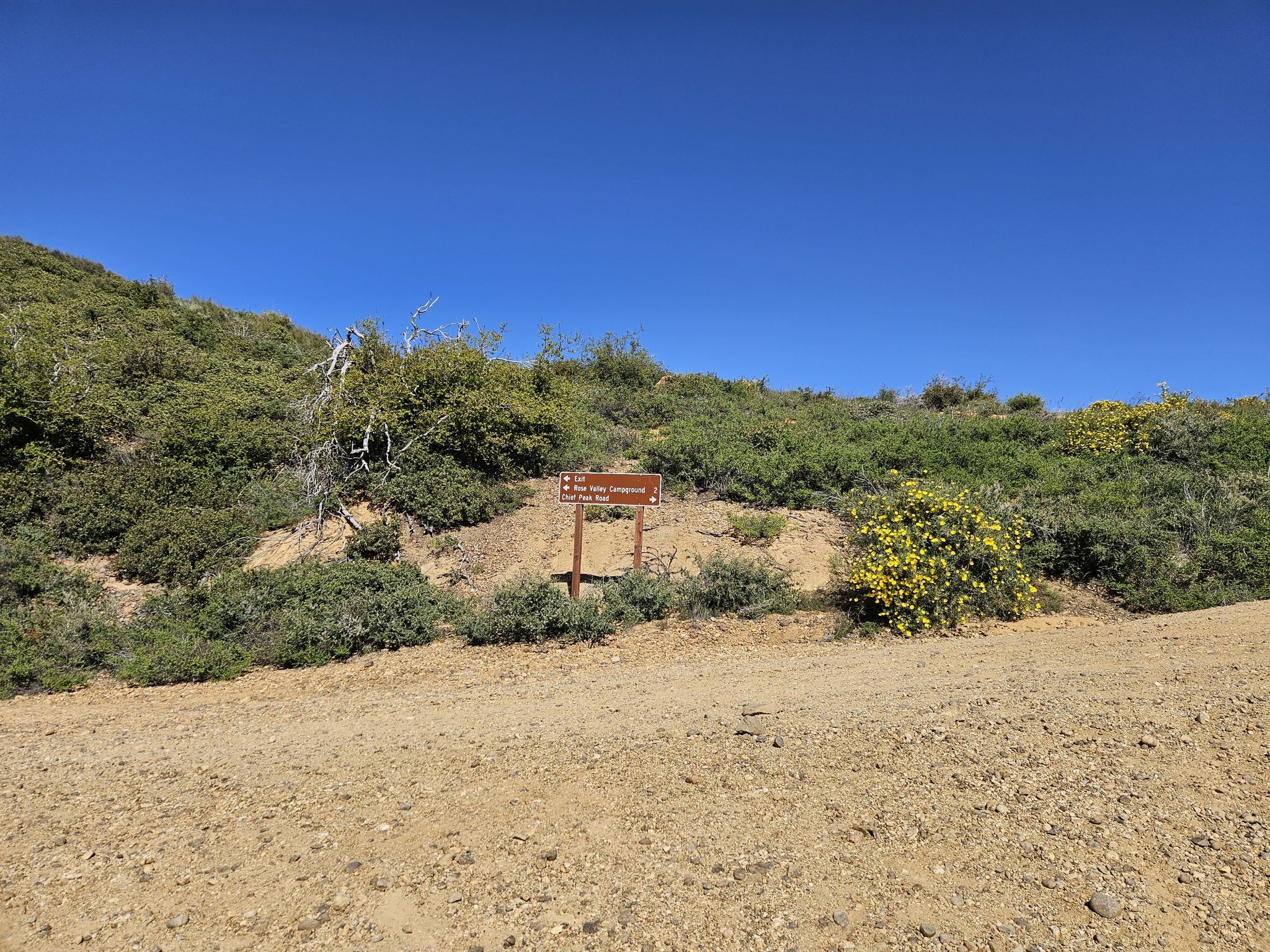A brown trail sign on a dirt path next to a brushy hillside, clear sky. - Middle Sespe and Howard Creek Trail Loop