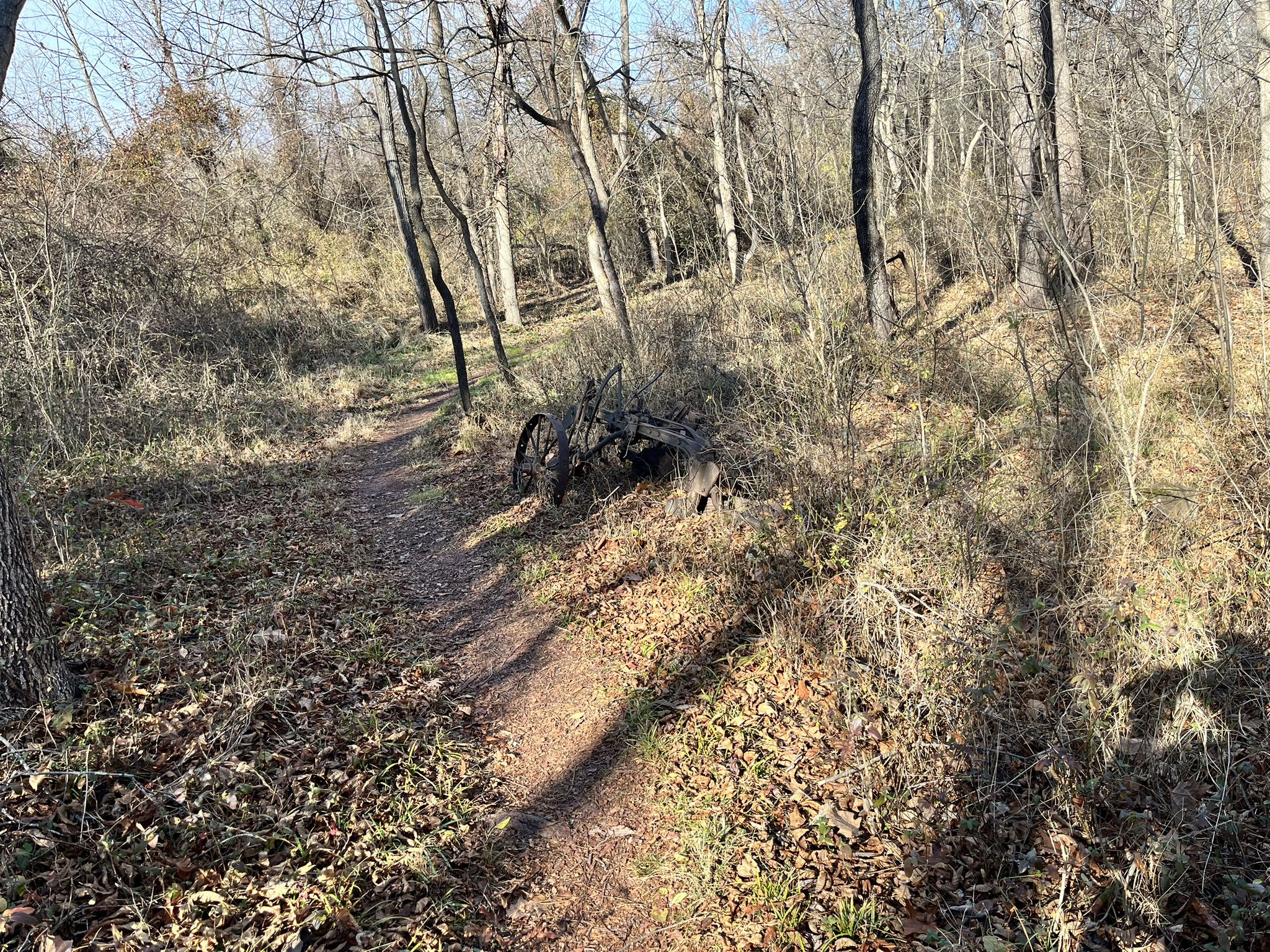 A dirt trail winds through a sunlit, leafless forest with an old bicycle. - Seneca Creek Greenway and Seneca Bluffs Trail Loop