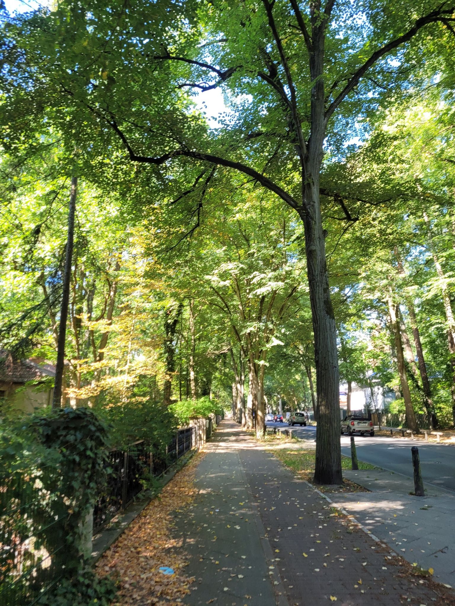 unterwegs in der Karl-Liebknecht-Straße