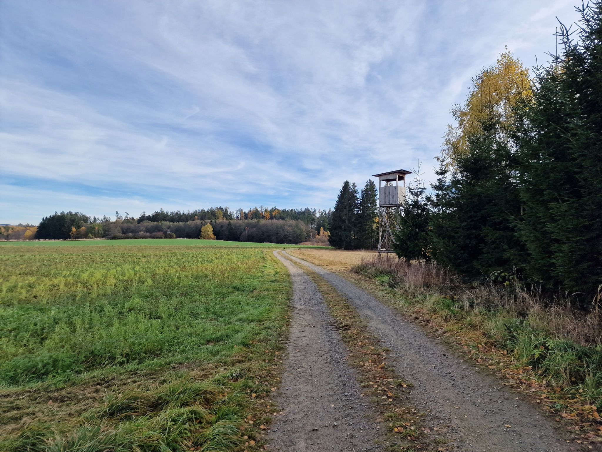Durch den Schacherwald nach Kleinreichenbach