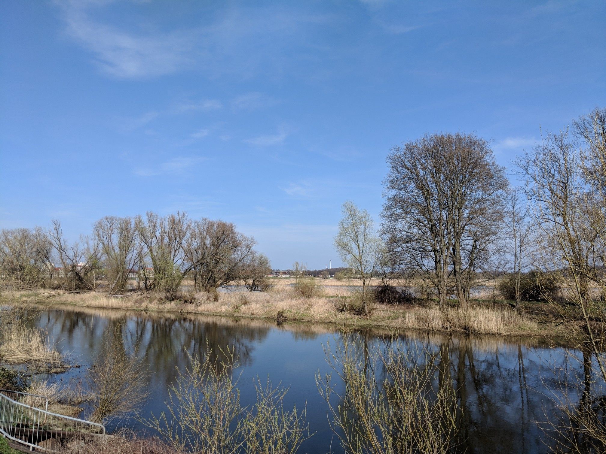Ziegenwerder und die Alte Oder
