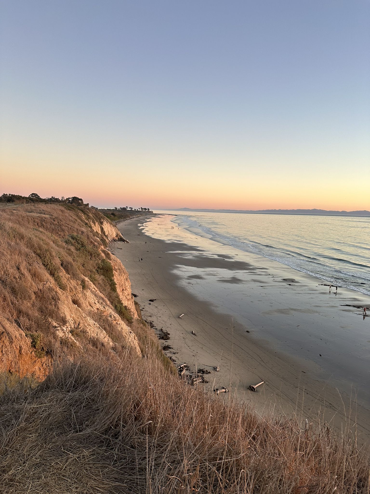 Golden hour light illuminates a sandy beach, ocean, and steep grassy cliff. - Elwood Forest Park – Ellwood Beach Campfire Spot loop from North Campus Open Space