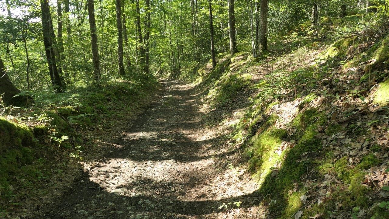 entlang der Etappe, Foto: Elfriede Simon, privat