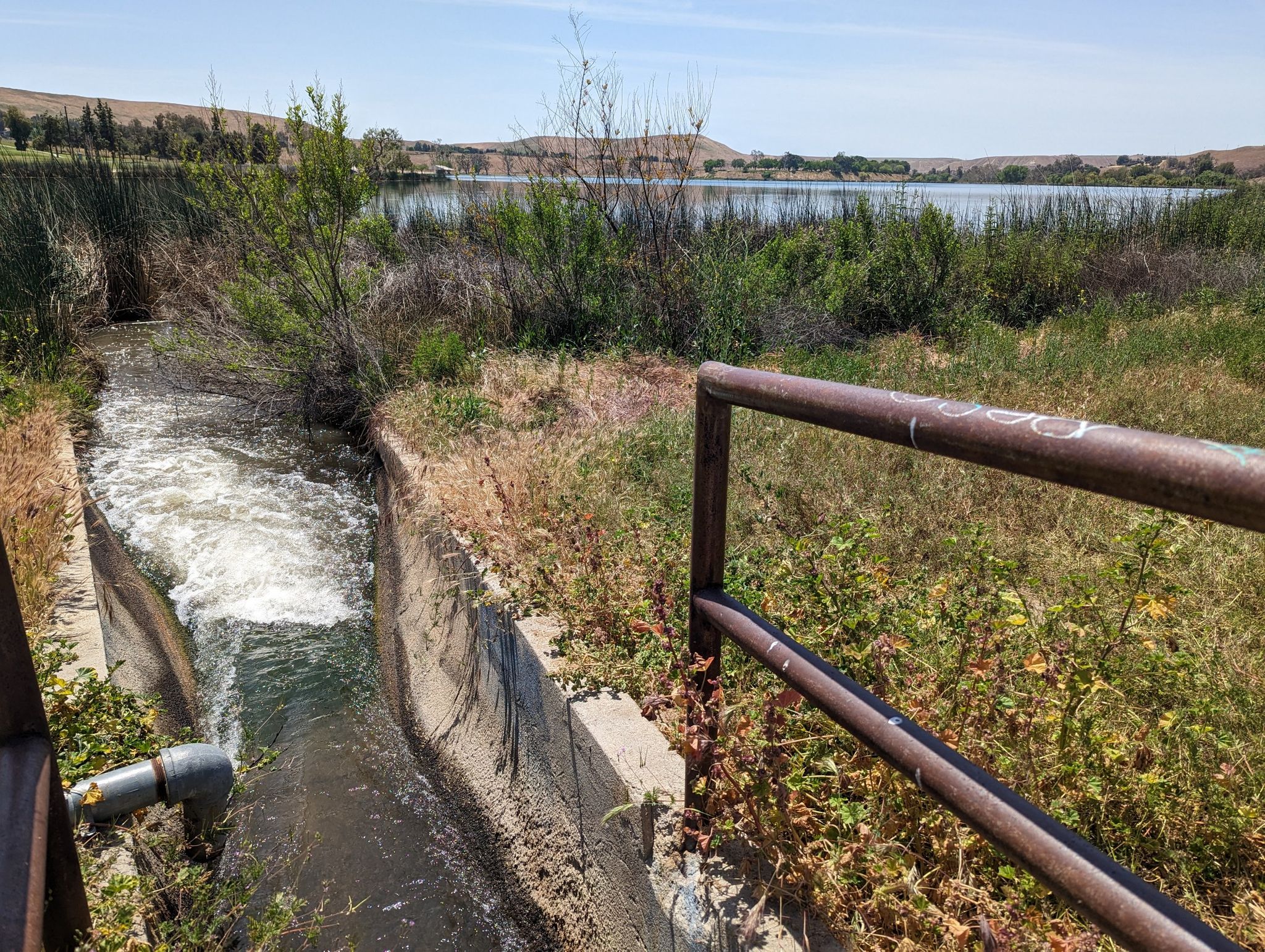 Water flowing in a concrete channel next to a lake and rusty railing. - Deer Viewing Area – Lake Ming loop from Lake Ming County Park