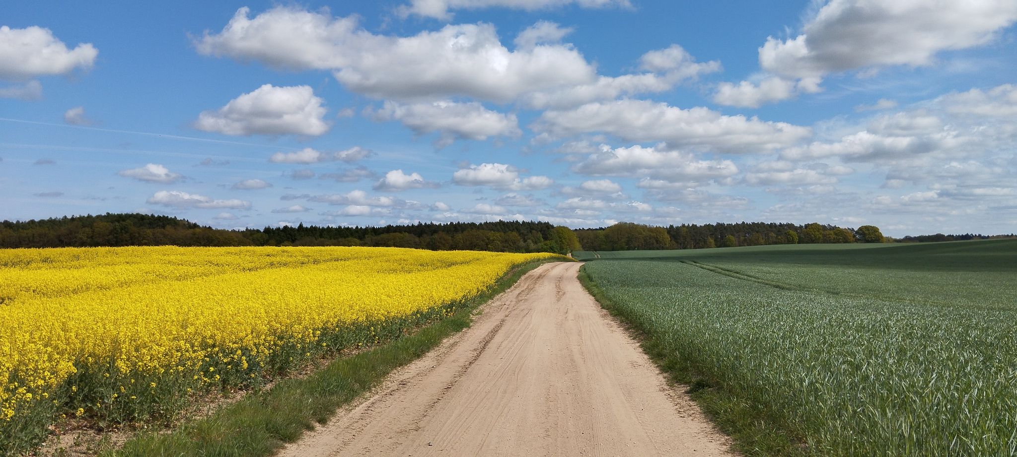 durch Feld und Flur
