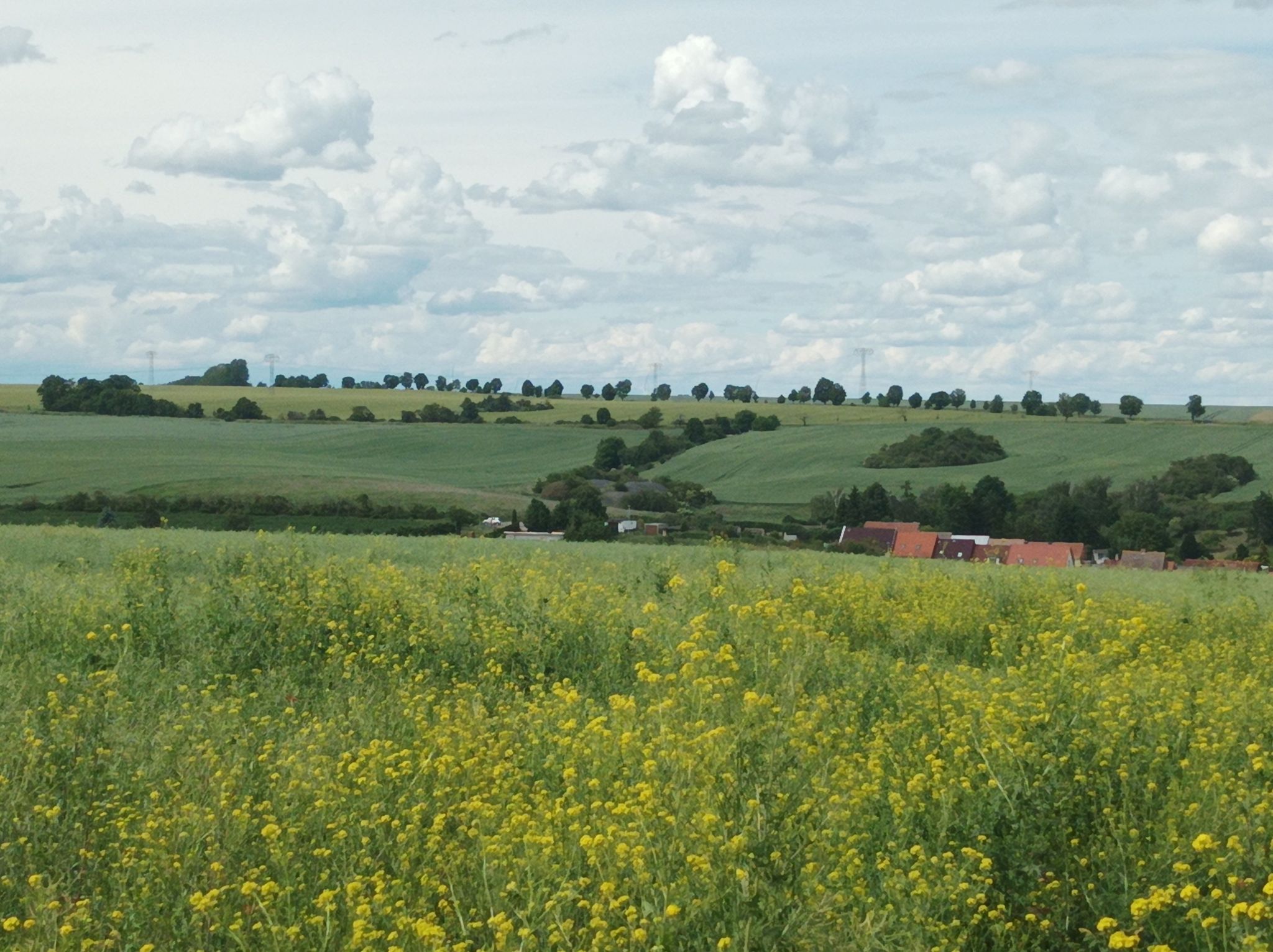 bei Gerbstedt 