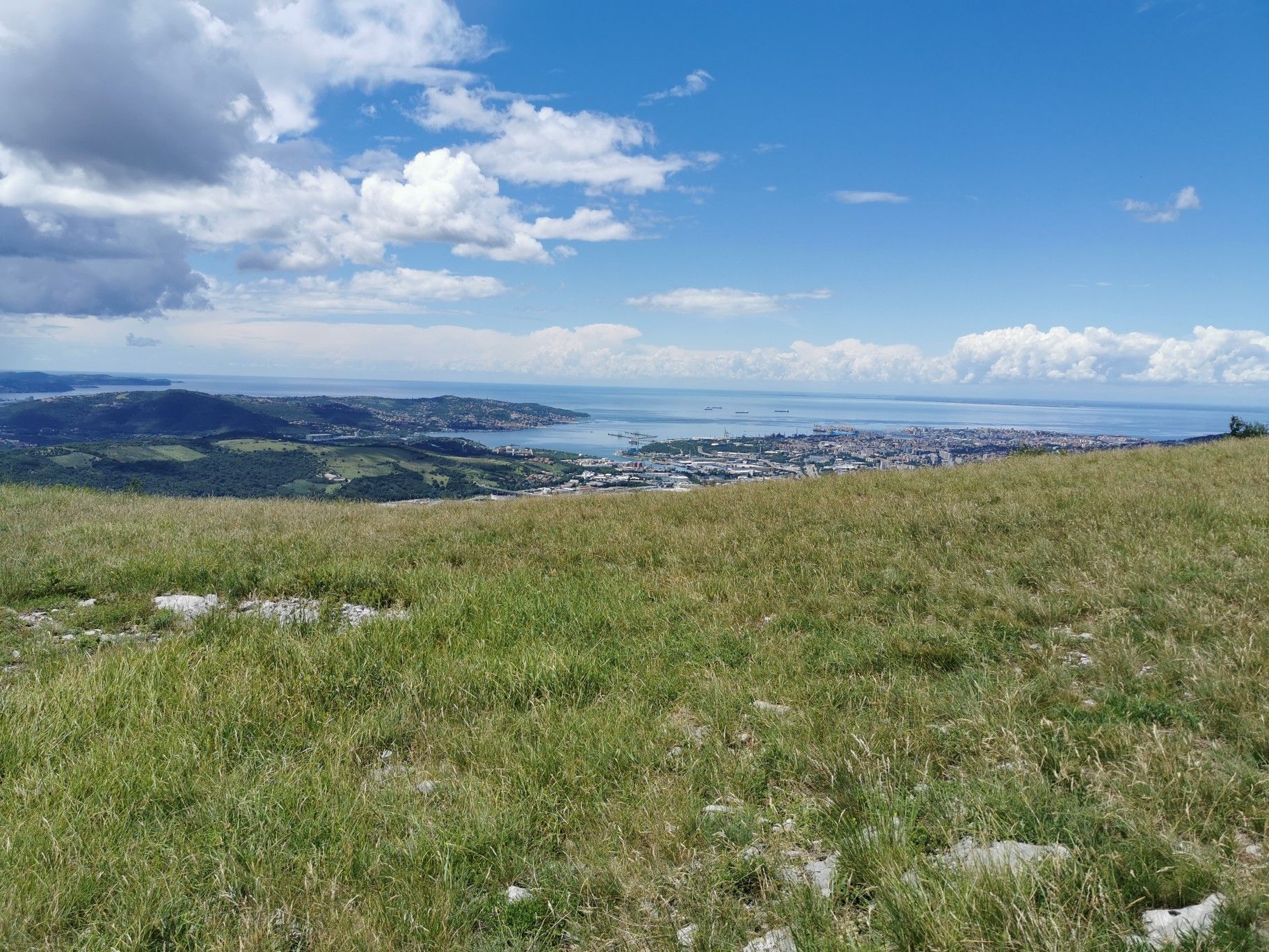 View