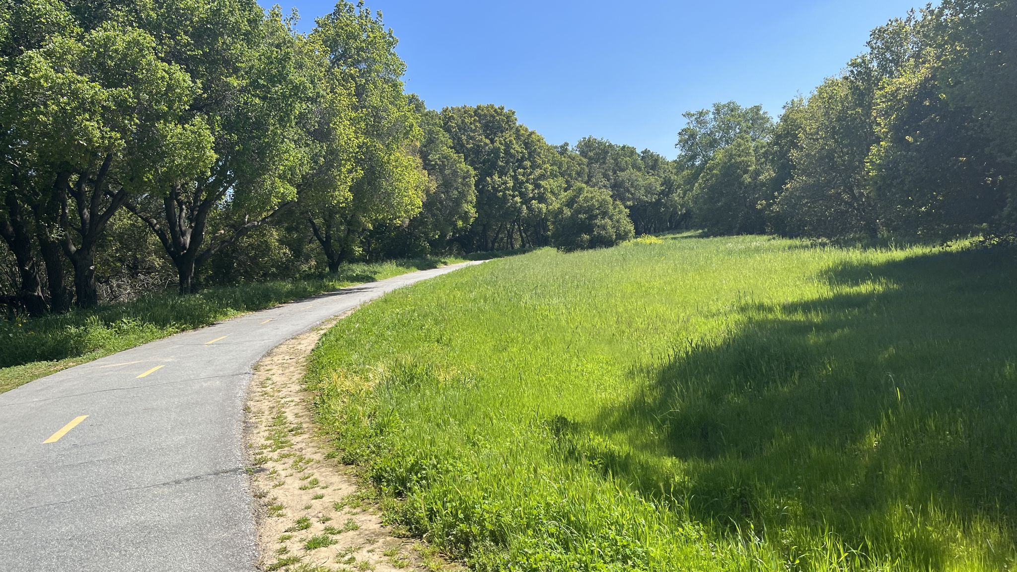 Paved path next to a vibrant green grassy field, bordered by lush trees. - Edenvale loop from Santa Teresa County Park