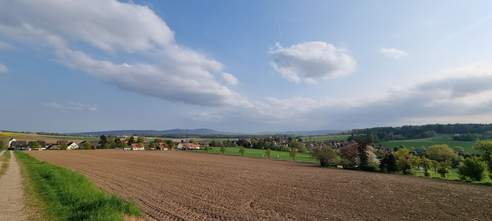 Weenzen vor der Linse