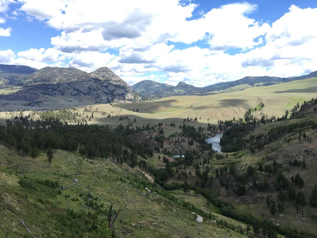 A wide green valley with a river and distant mountains under a cloudy sky. - Hellroaring Creek Trail