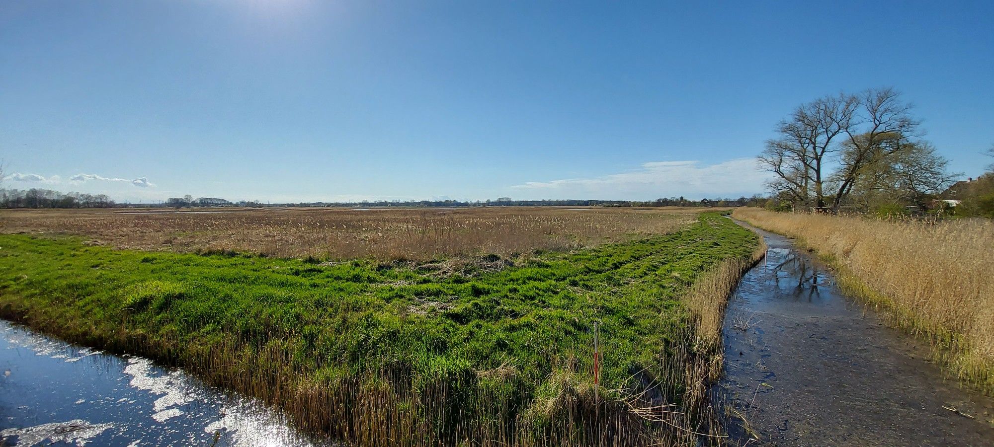 Azsblick in das Naturschutzgebiet