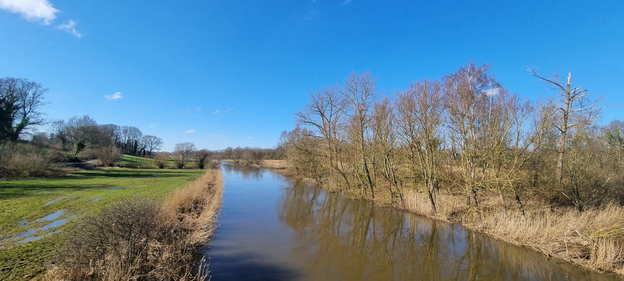 Die Trave