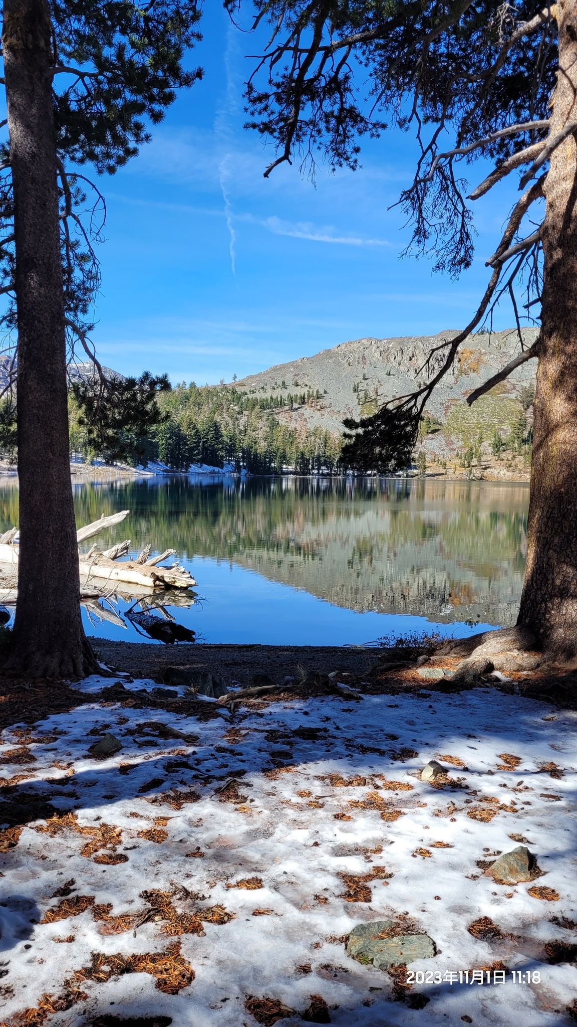 Snowy ground and pine trees frame a calm lake reflecting a blue sky. - Gilmore Lake via Mount Tallac Trail