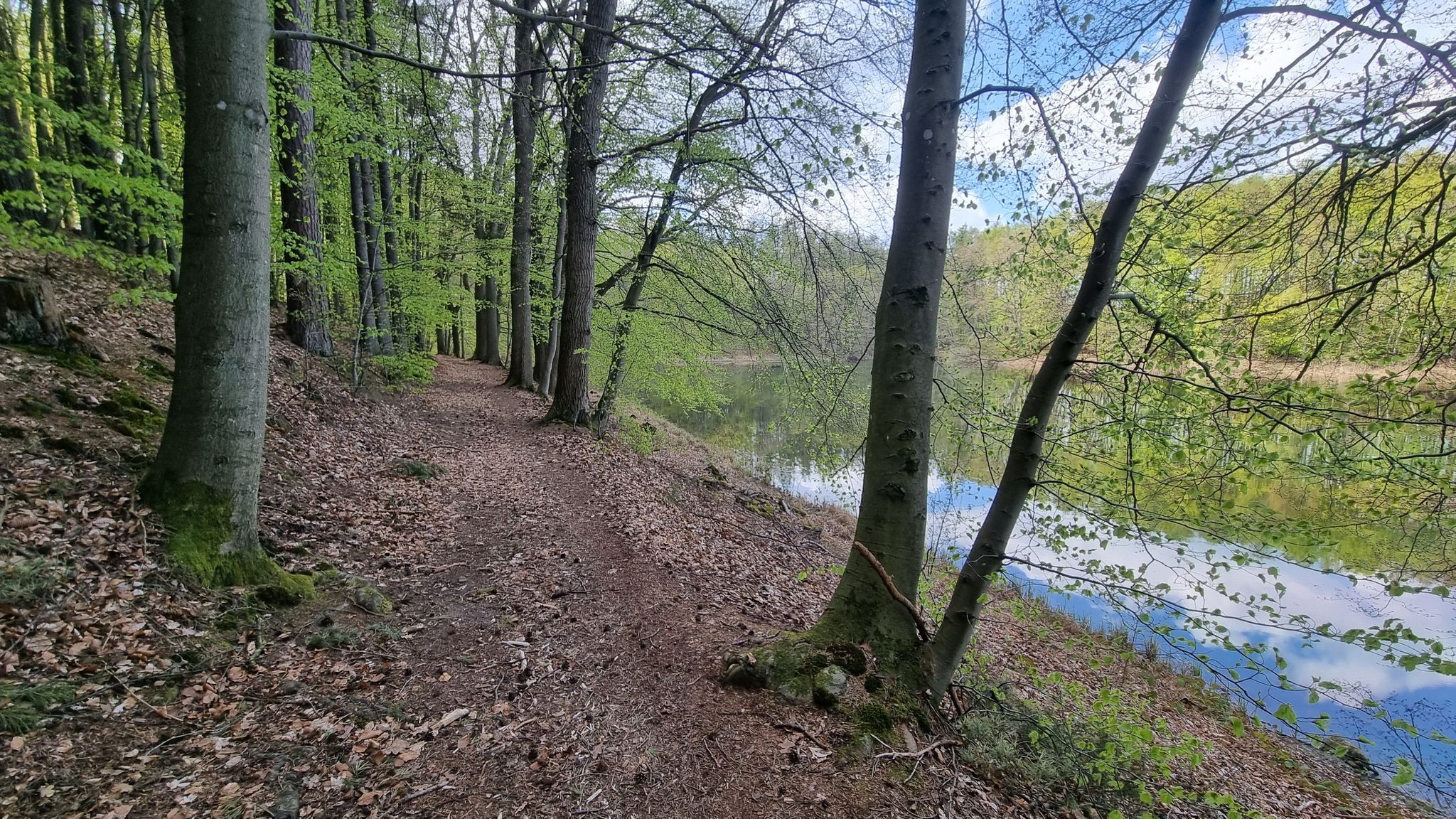 Schöner Seetrail