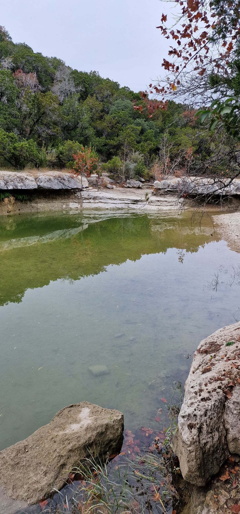 Greenish river water reflecting trees, surrounded by rocky banks and autumn foliage. - Sculpture Falls – Waterfall on Barton Creek loop from Rollingwood
