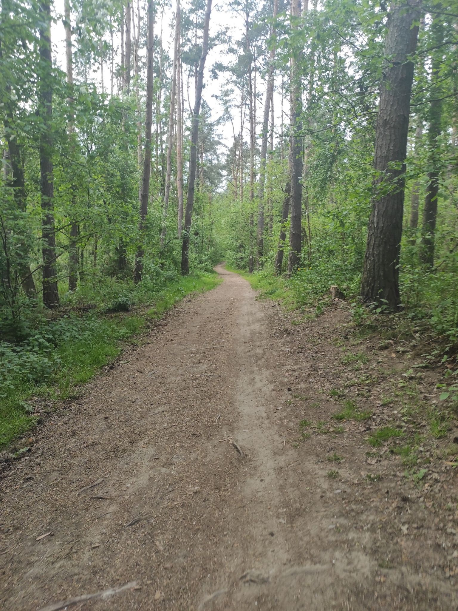 do torów
