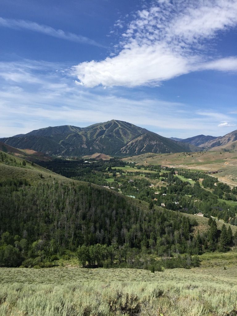 Panoramic view of a vast green valley, dense forests, and a distant mountain. - Hemingway Memorial – Sun Valley Lake loop from Sun Valley