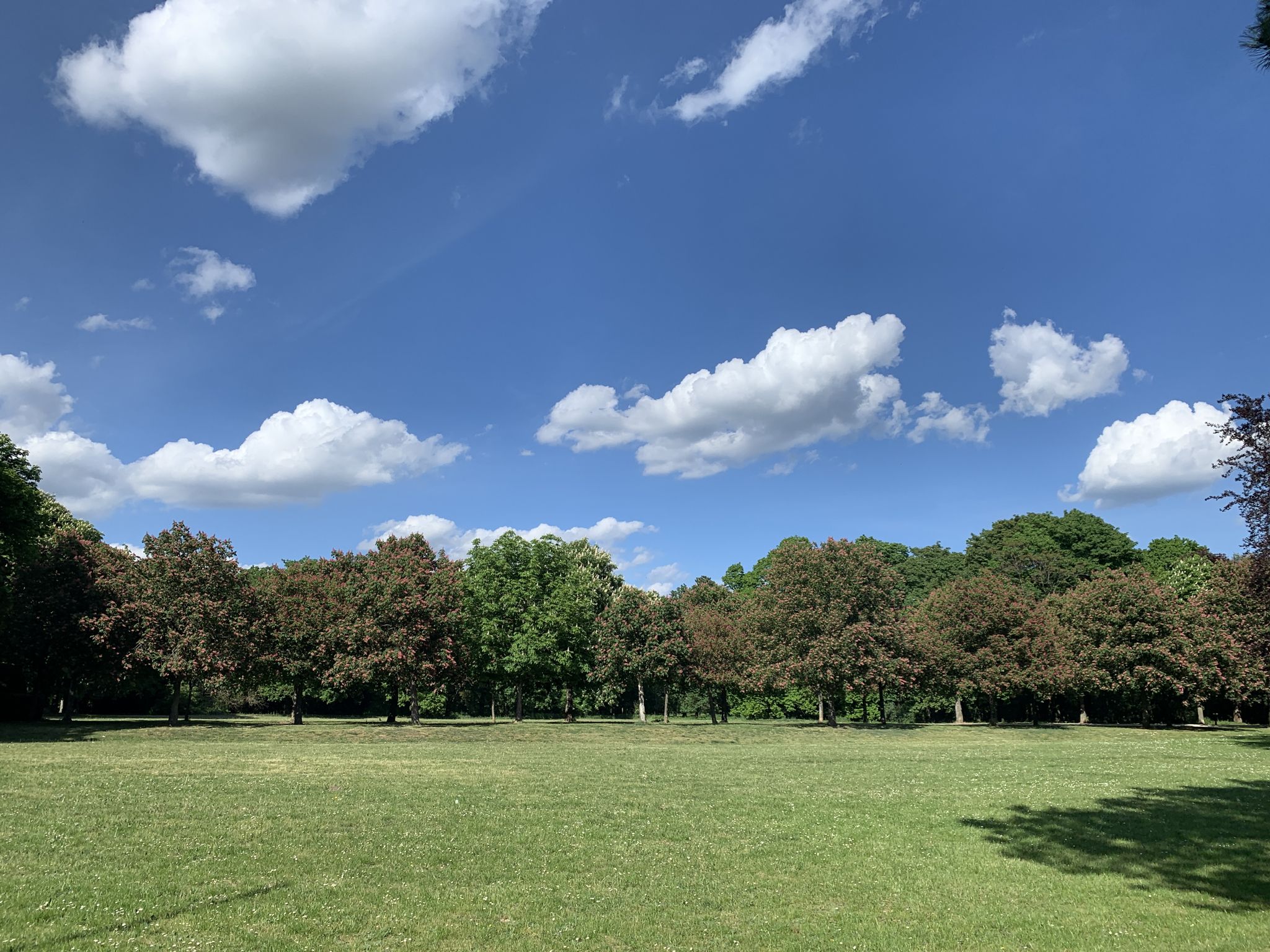 Schlosspark Halbturn 