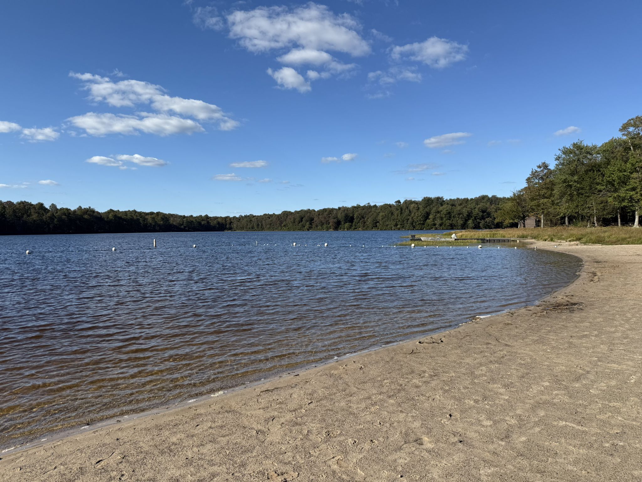 Sunny day at a calm lake with a sandy beach and distant forest. - Ricketts Glen State Park to Sullivan and Big Run Falls gravel ride