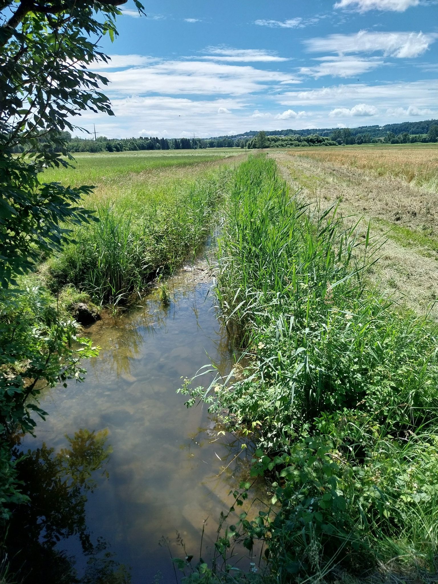 Der Bach hat wieder seine normale Höhe