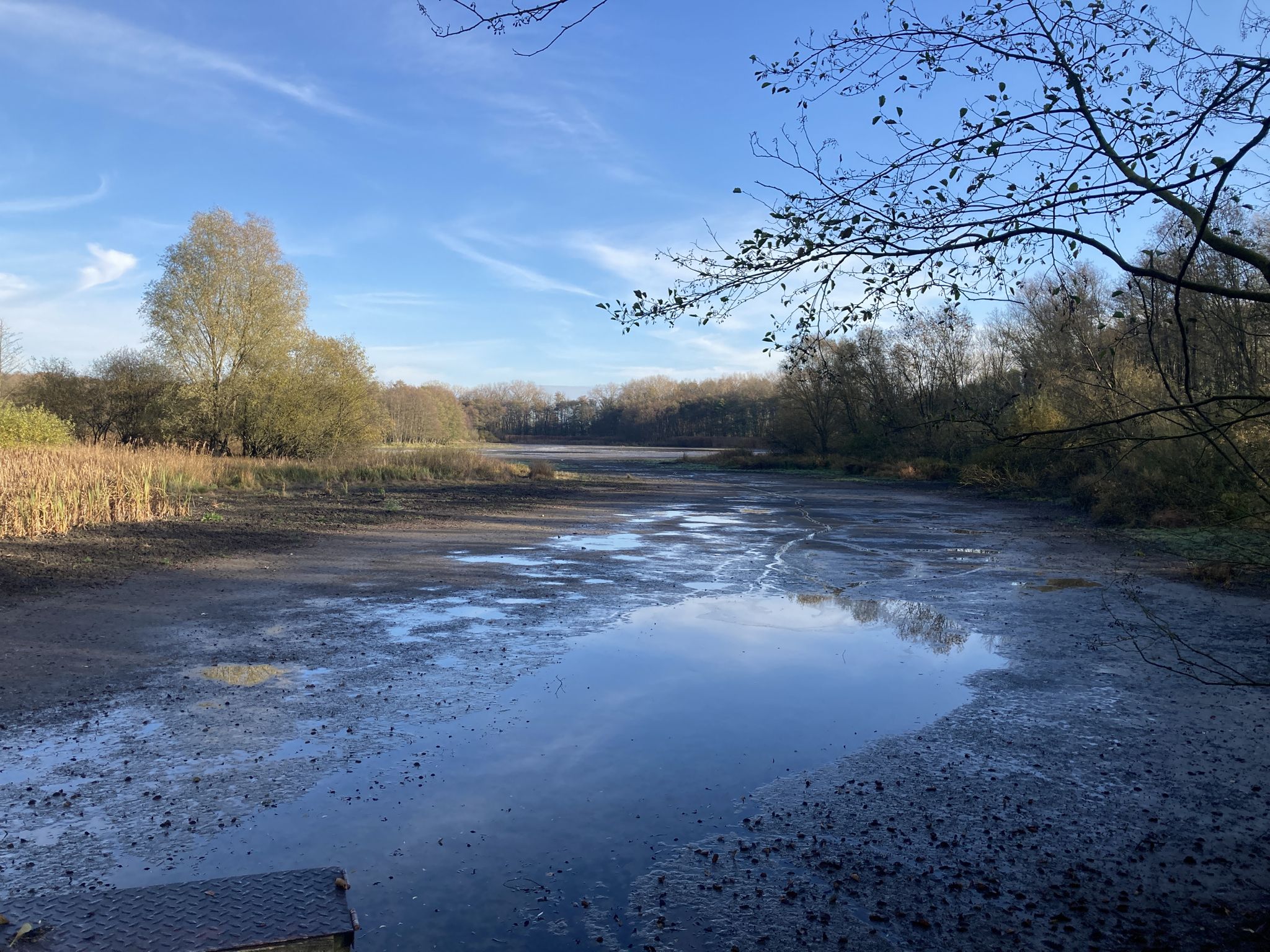 Wehrenteich ausgetrocknet
