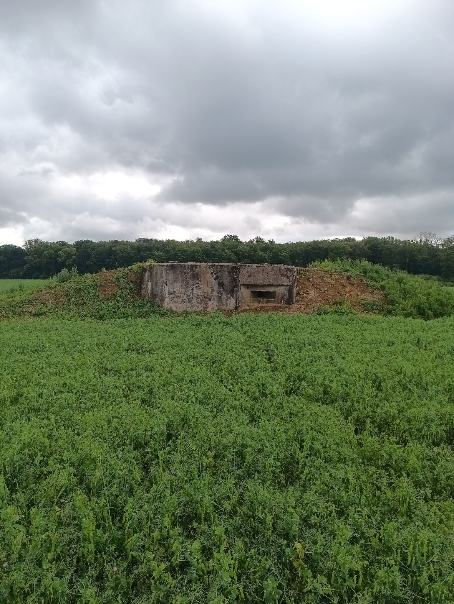 kleiner Bunker